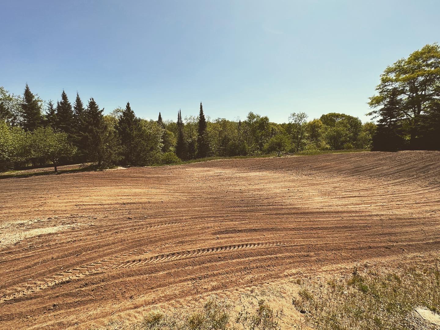 Freshly graded field